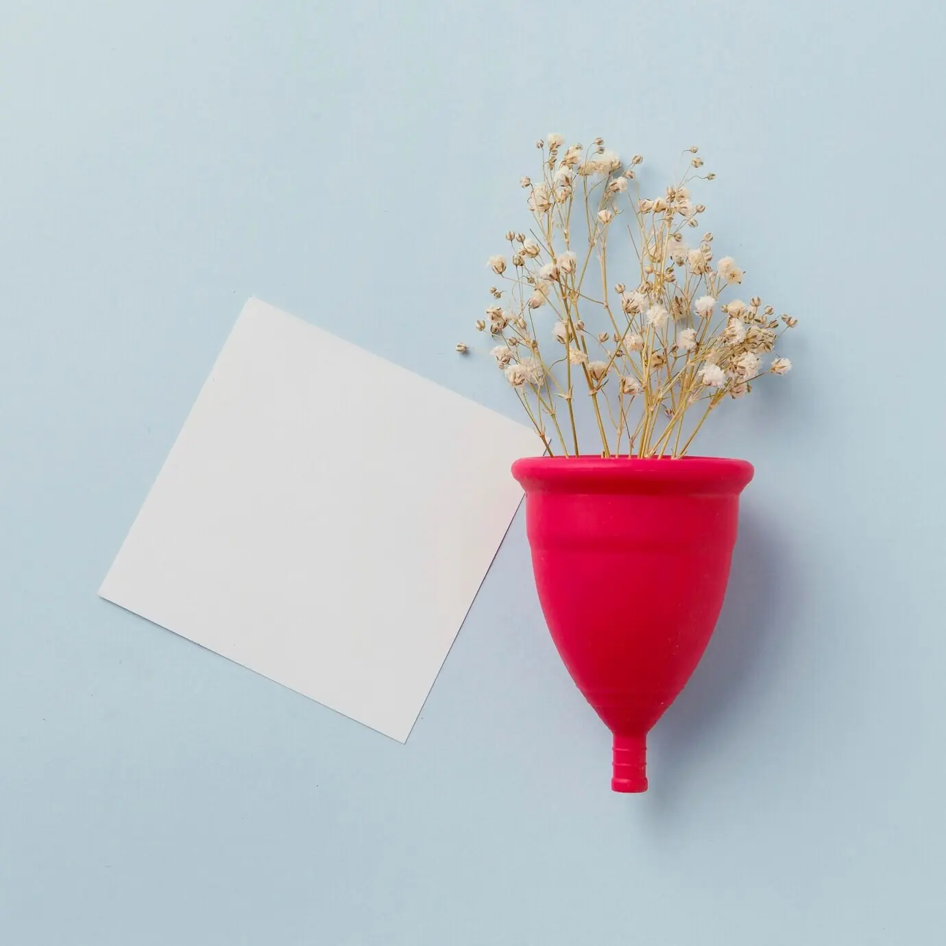 Ansicht von oben auf eine Menstruationstasse